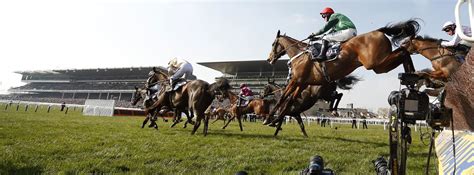 cheltenham racecards|Cheltenham Racecards .